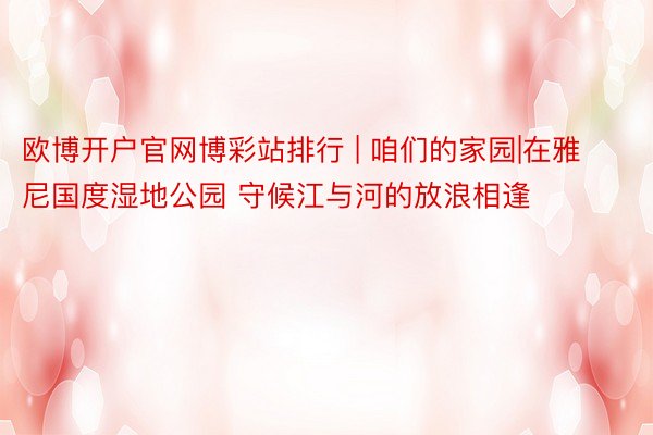 欧博开户官网博彩站排行 | 咱们的家园|在雅尼国度湿地公园 守候江与河的放浪相逢