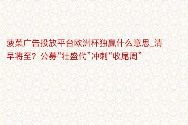 菠菜广告投放平台欧洲杯独赢什么意思_清早将至？公募“壮盛代”冲刺“收尾周”