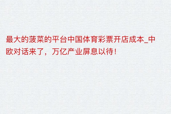 最大的菠菜的平台中国体育彩票开店成本_中欧对话来了，万亿产业屏息以待！