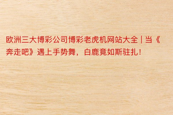 欧洲三大博彩公司博彩老虎机网站大全 | 当《奔走吧》遇上手势舞,白鹿竟如斯驻扎!